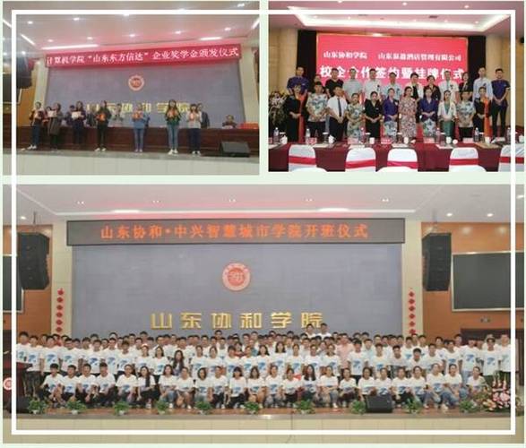 山东协和学院音乐类招生有何要求？-第3张图片-泰美艺术培训