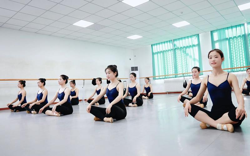 合肥工业大学有舞蹈专业吗？-第3张图片-泰美艺术培训
