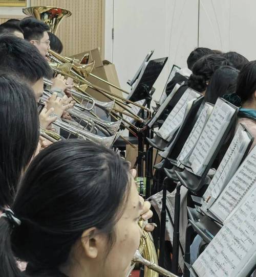 同济大学2025音乐学招生有何新变化?-第1张图片-泰美艺术培训 同济大学2025音乐学招生有何新变化?-第1张图片-泰美艺术培训