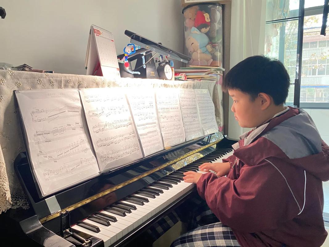 2025安徽音乐艺考有哪些变化？-第1张图片-泰美艺术培训