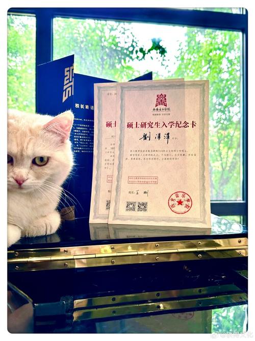 西安音乐学院励志奖学金申请条件有哪些？-第3张图片-泰美艺术培训