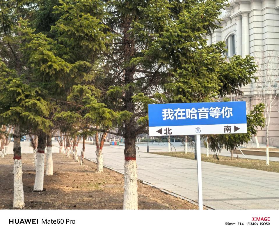 哈尔滨音乐学院附近房价多少？-第3张图片-泰美艺术培训