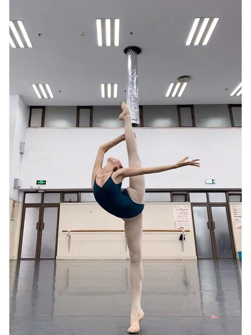 舞蹈生毕业后的职业方向有哪些？-第2张图片-泰美艺术培训