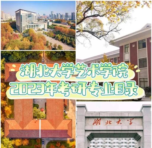 湖北开设舞蹈系的大学有哪些？-第2张图片-泰美艺术培训
