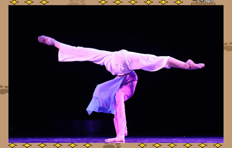 西安音乐学院舞蹈考试难度如何？-第2张图片-泰美艺术培训