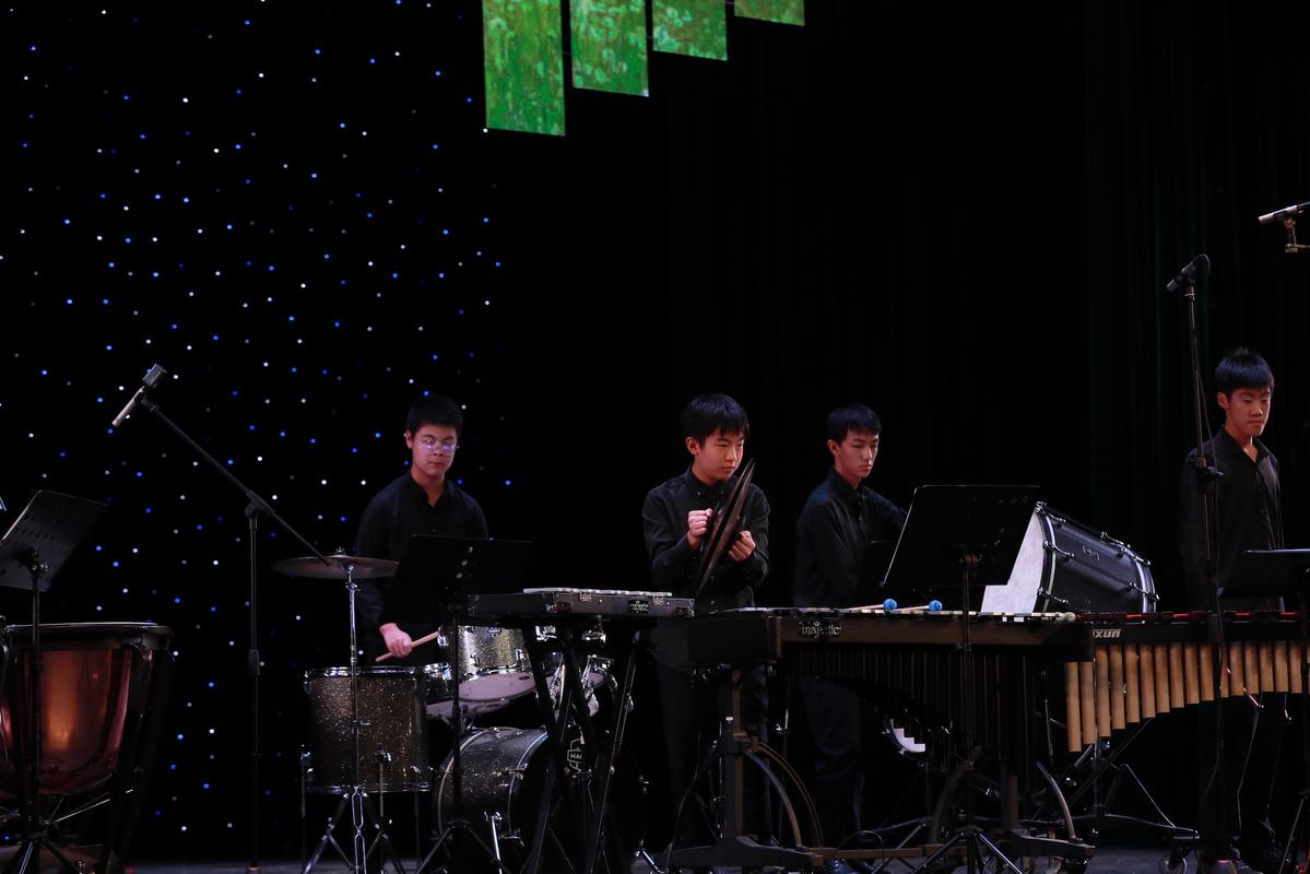 音乐表演毕业能从事哪些职业？-第3张图片-泰美艺术培训