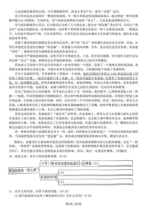 2025安徽艺考模块五考什么？-第3张图片-泰美艺术培训