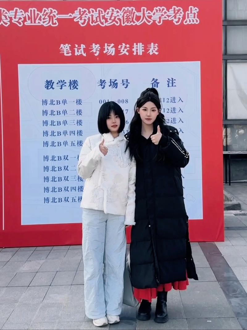 2025安徽艺考模块五考什么？-第1张图片-泰美艺术培训