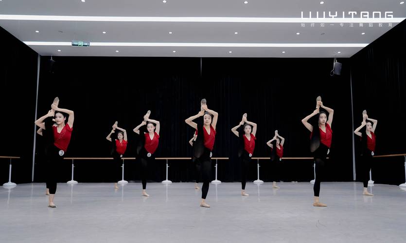 艺考表演系舞蹈有何要求-第2张图片-泰美艺术培训