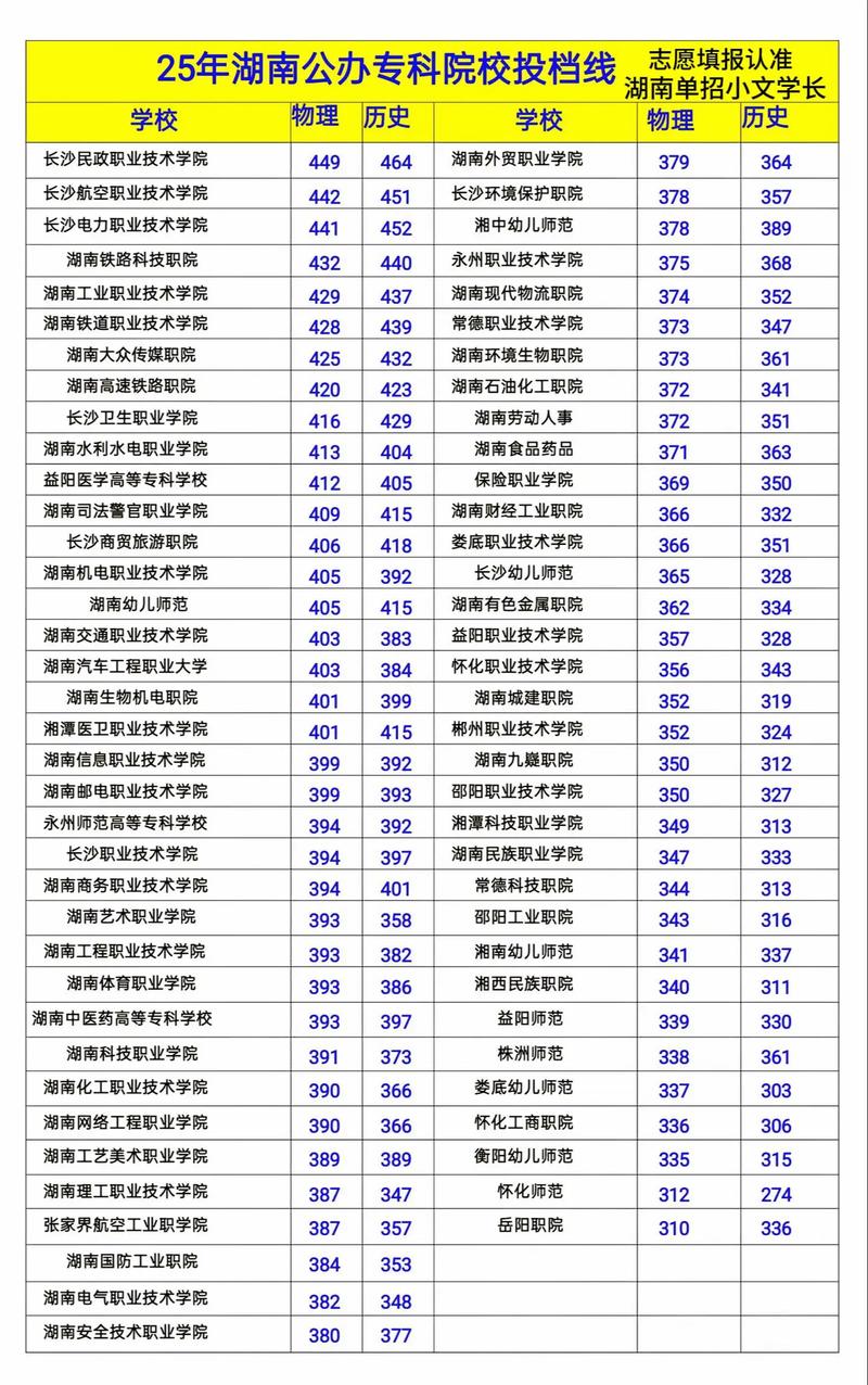 2025湖南音乐分数线-第2张图片-泰美艺术培训