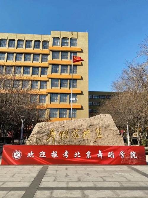 北京舞蹈学院是几本院校-第1张图片-泰美艺术培训 北京舞蹈学院是几本院校-第1张图片-泰美艺术培训