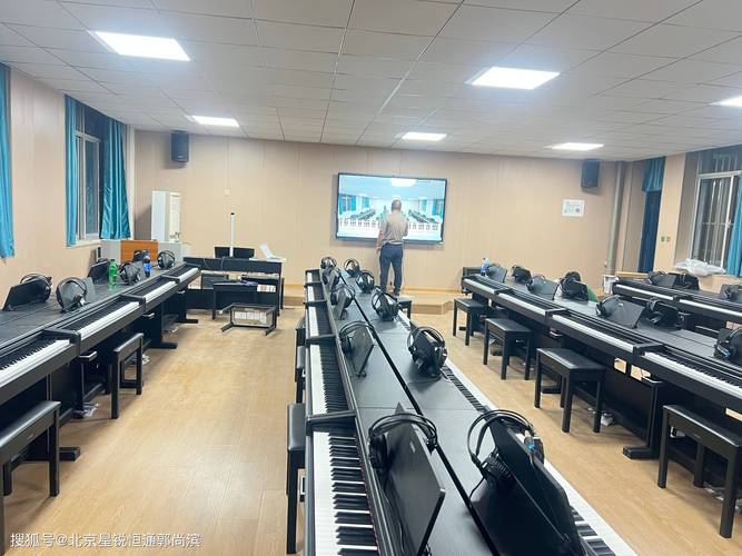 开设音乐表演专业的学校-第2张图片-泰美艺术培训