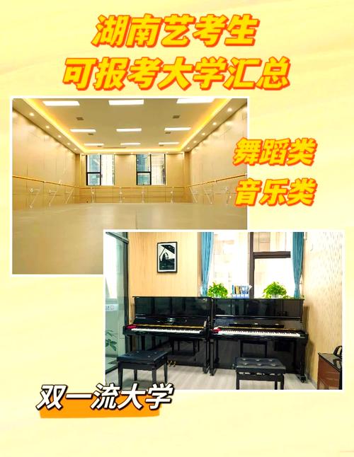 高考有没有音乐舞蹈专业-第3张图片-泰美艺术培训 高考有没有音乐舞蹈专业-第3张图片-泰美艺术培训