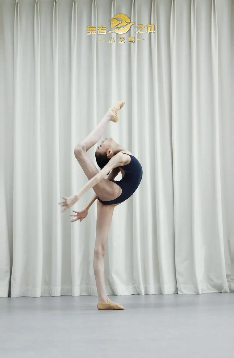 2025年四川艺考舞蹈-第2张图片-泰美艺术培训