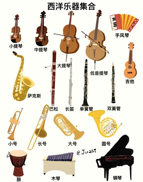 音乐专业选修乐器，哪个更适合发展？-第1张图片-泰美艺术培训