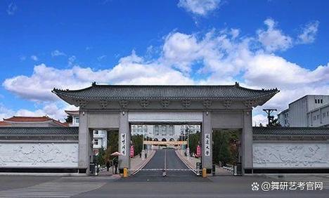 舞蹈类211大学有哪些-第3张图片-泰美艺术培训