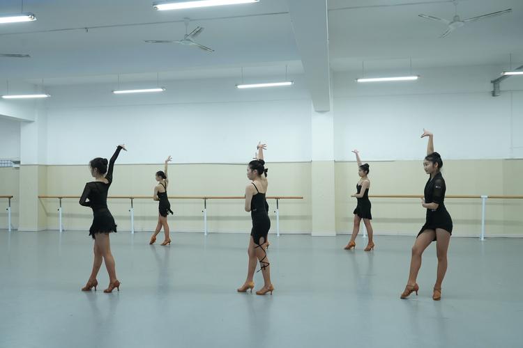 四川哪个学校舞蹈专业海-第2张图片-泰美艺术培训