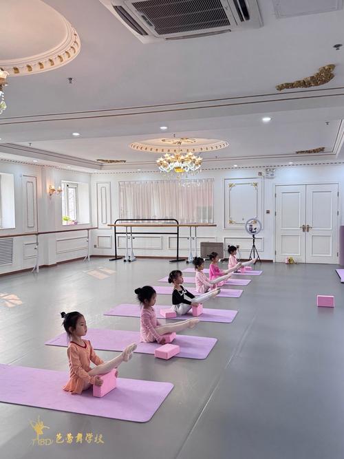 安顺兴伟哪里有学舞蹈的-第1张图片-泰美艺术培训