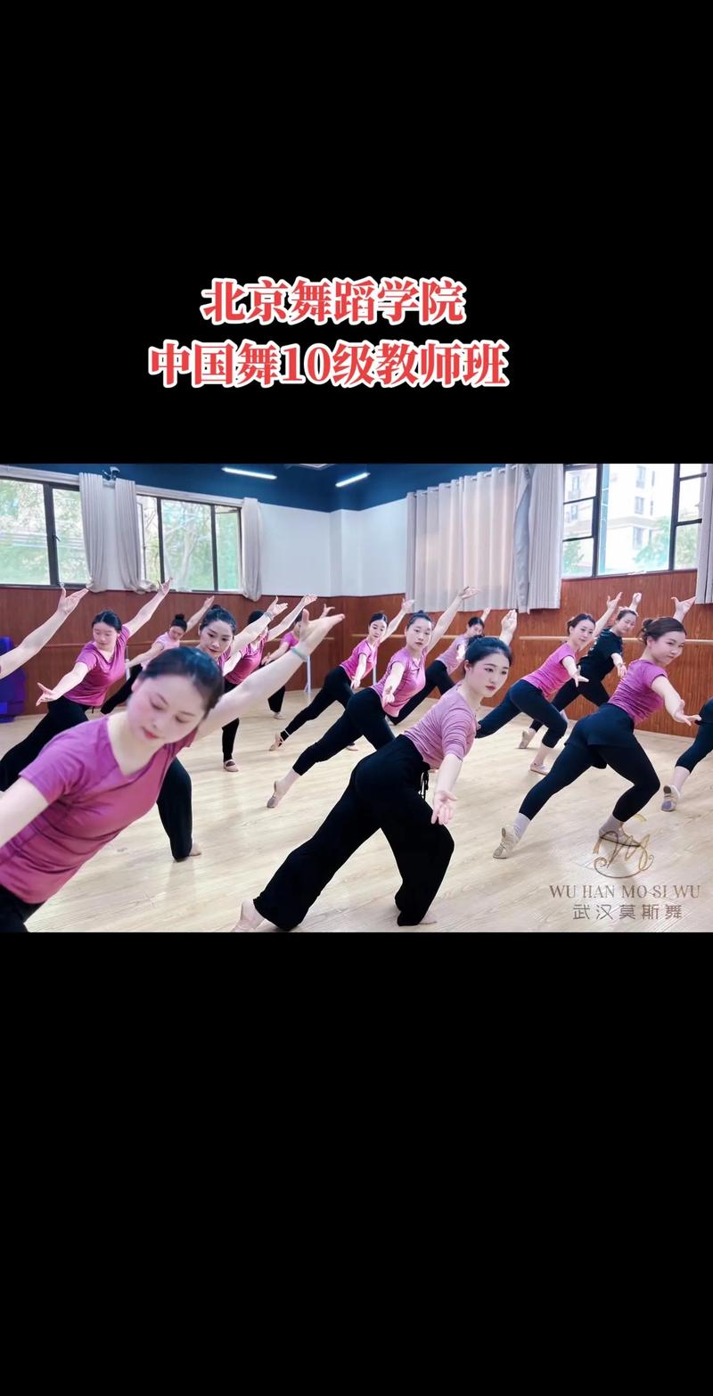 北京舞蹈学院国标舞进修如何申请？-第3张图片-泰美艺术培训