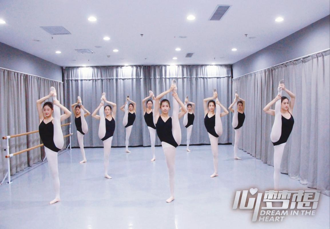 内蒙古艺考舞蹈培训学校哪家好？-第2张图片-泰美艺术培训