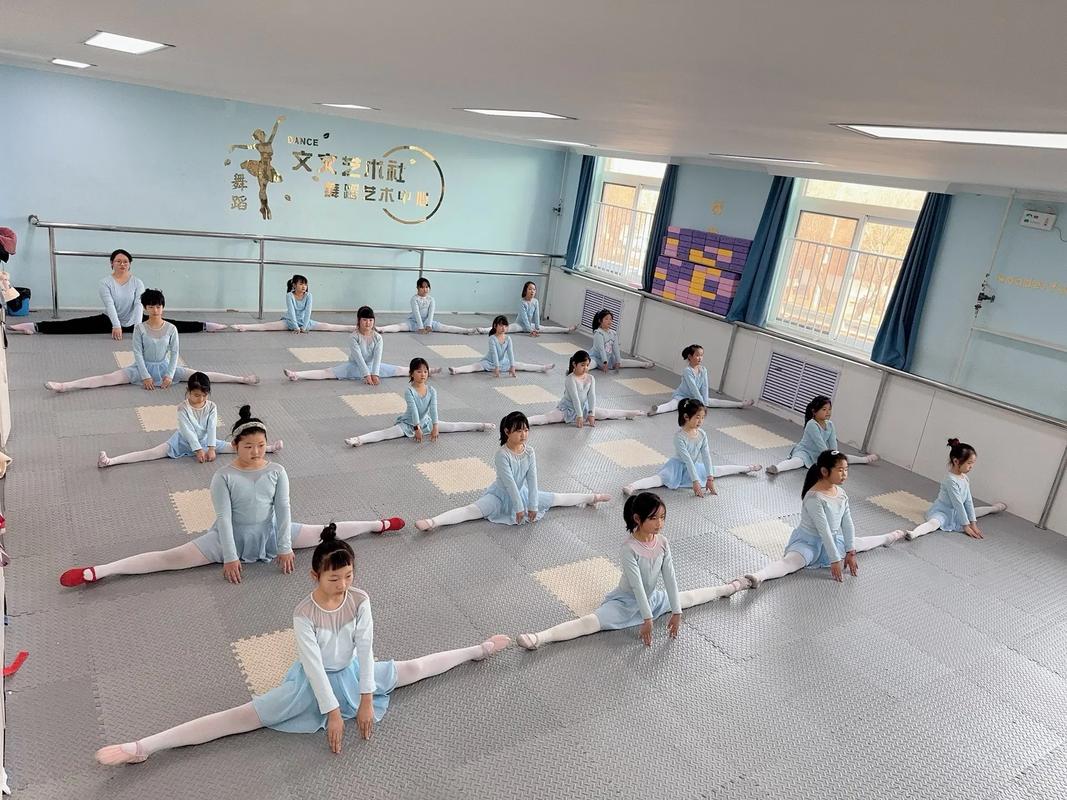 内蒙古艺考舞蹈培训学校哪家好？-第3张图片-泰美艺术培训