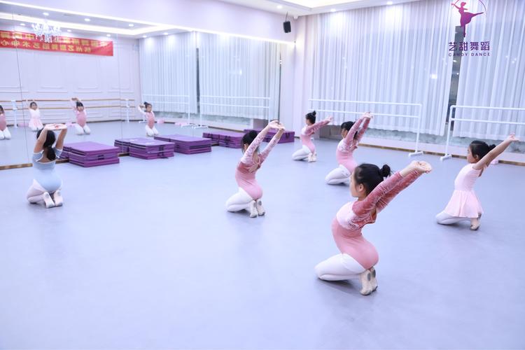 陇南市星期舞蹈艺术学校-第2张图片-泰美艺术培训