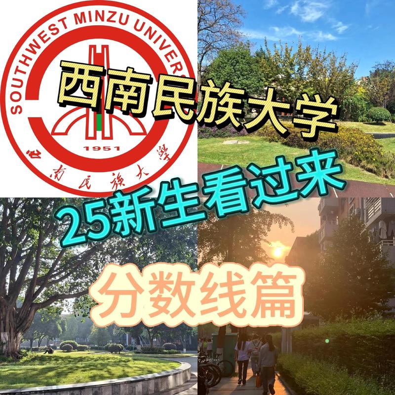 西南民族大学舞蹈分数线-第1张图片-泰美艺术培训