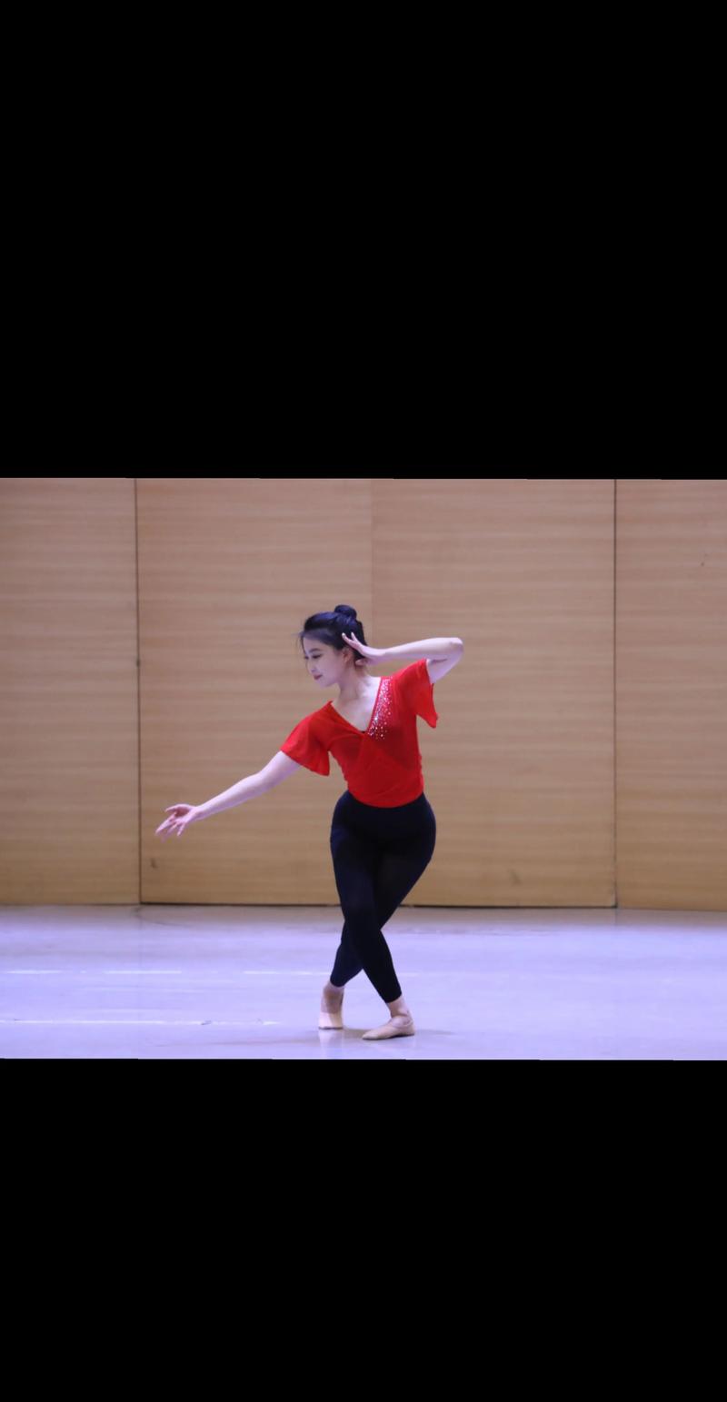 燕山大学研究生舞蹈专业-第3张图片-泰美艺术培训