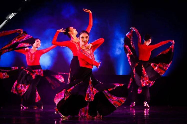 西南民族大学舞蹈特长生-第2张图片-泰美艺术培训