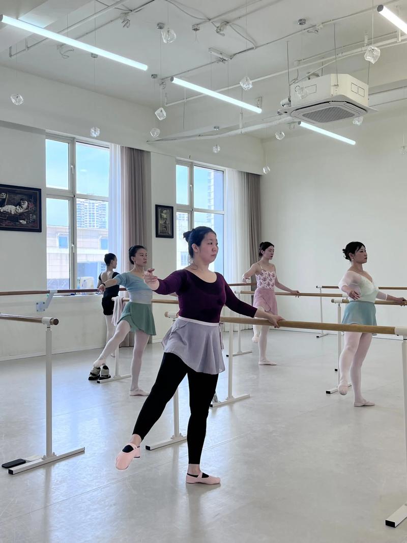 海南师范学院舞蹈学专业怎么样？-第2张图片-泰美艺术培训