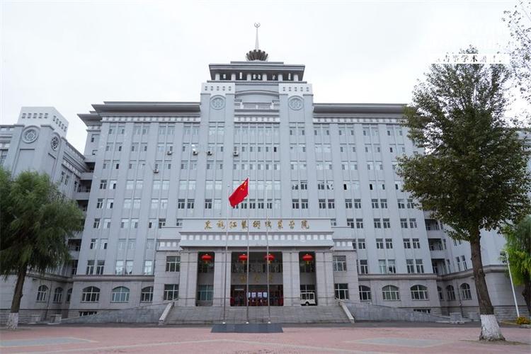 黑龙江艺术职业舞蹈学院有何特色？-第1张图片-泰美艺术培训