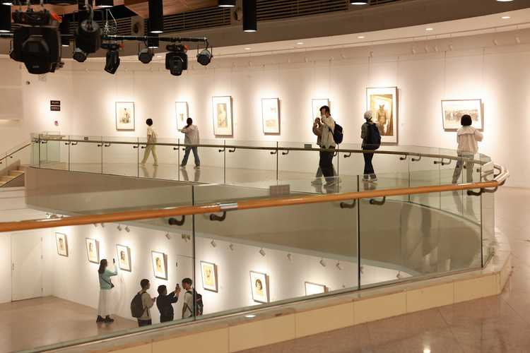 西安美术学院西部美术馆-第3张图片-泰美艺术培训