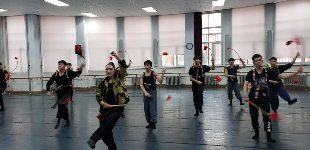 西藏大学艺术系舞蹈专业-第2张图片-泰美艺术培训