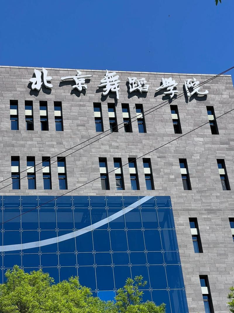 中国艺术类舞蹈大学公办-第1张图片-泰美艺术培训