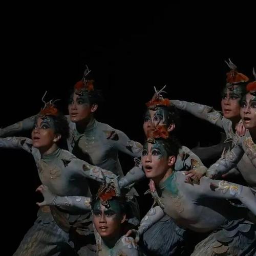 山东艺术学院14级舞蹈有何故事？-第2张图片-泰美艺术培训