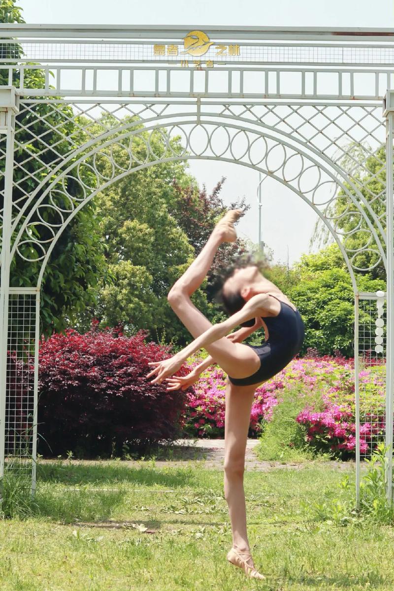 艺考哪种舞蹈类型更容易通过？-第1张图片-泰美艺术培训