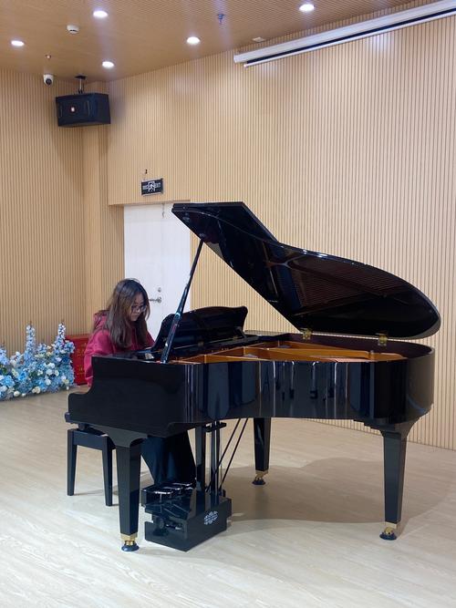 贵州工程应用学院音乐学有何特色与优势?-第3张图片-泰美艺术培训 贵州工程应用学院音乐学有何特色与优势?-第3张图片-泰美艺术培训