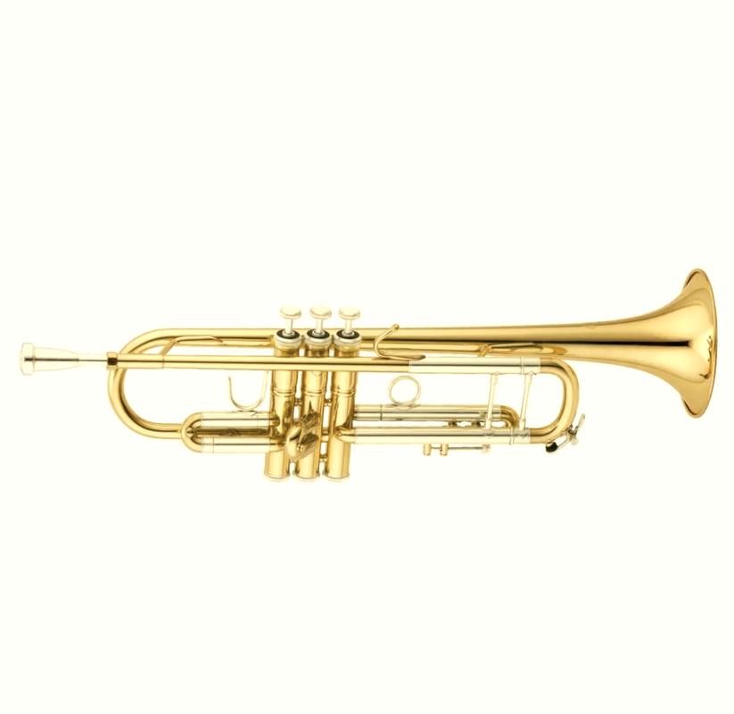 延边大学音乐学院 小号-第1张图片-泰美艺术培训