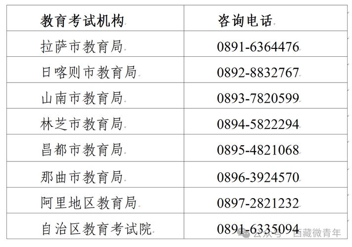 2025西藏艺考成绩何时公布？分数线多少？-第2张图片-泰美艺术培训