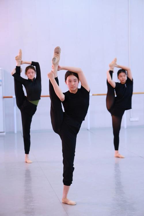 舞蹈专业院校为何还要学文化课？-第2张图片-泰美艺术培训