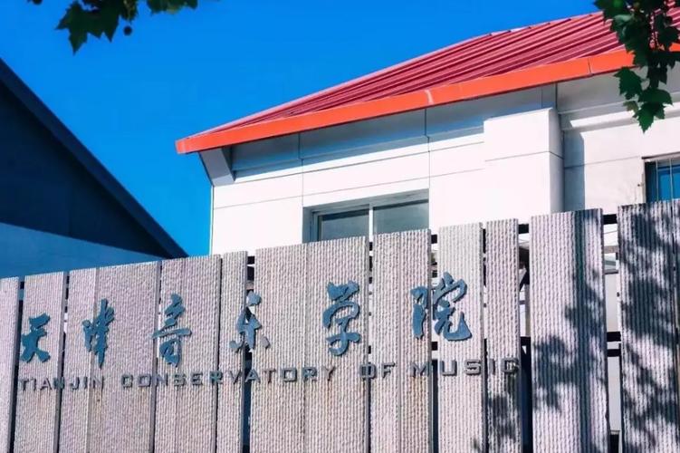 天津音乐学院舞蹈系有何特色与优势？-第2张图片-泰美艺术培训