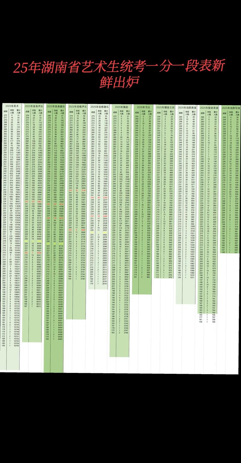 湖南美术联考成绩何时公布？-第3张图片-泰美艺术培训