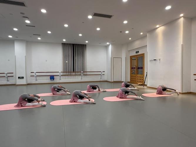 忻州师范学院舞蹈系专科-第3张图片-泰美艺术培训