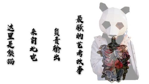 北电艺考3000字，藏着多少追梦人的酸甜苦辣？-第2张图片-泰美艺术培训