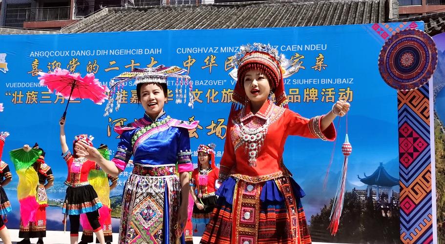 广西河池学院音音乐表演-第1张图片-泰美艺术培训