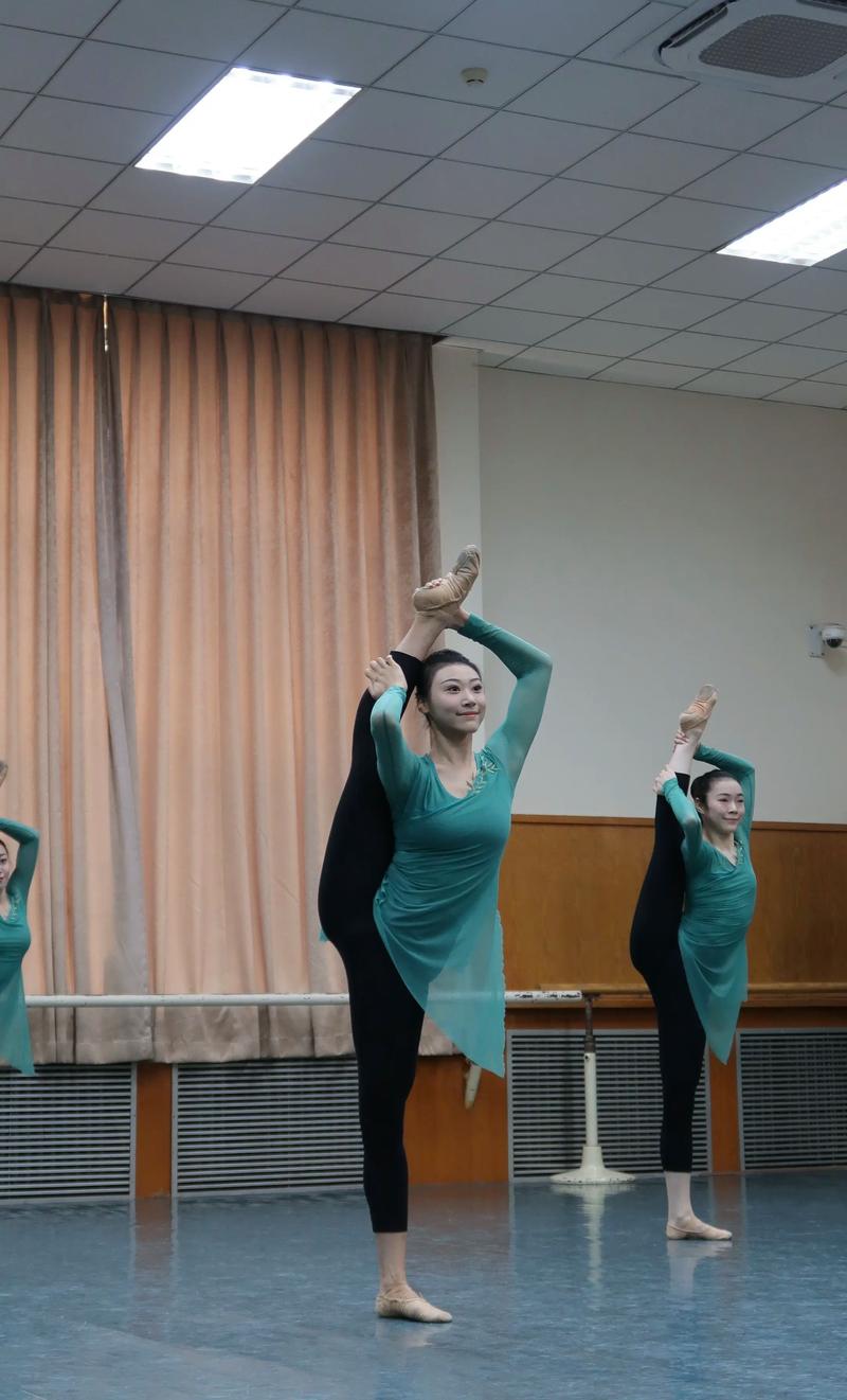 西安体育学院舞蹈系老师有何特色？-第3张图片-泰美艺术培训