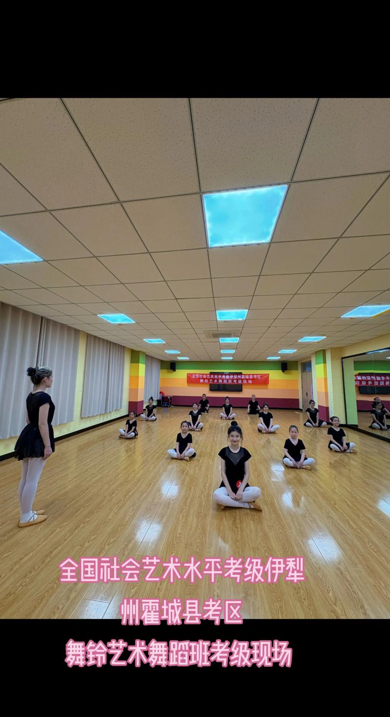 学舞蹈能考哪些学校？-第3张图片-泰美艺术培训