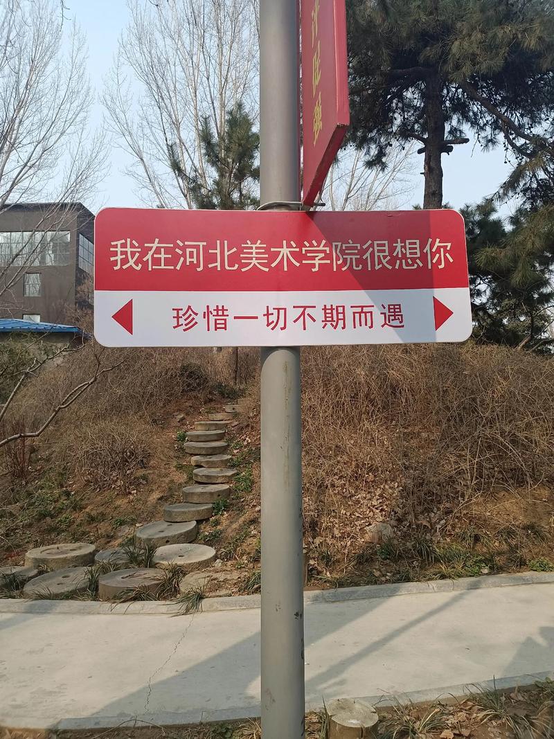 河北美术学院就业信息网有何作用？-第2张图片-泰美艺术培训