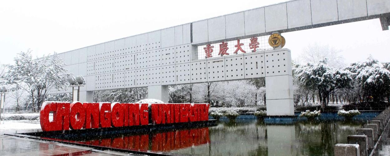 重庆大学舞蹈在内蒙古招几个学生？-第3张图片-泰美艺术培训