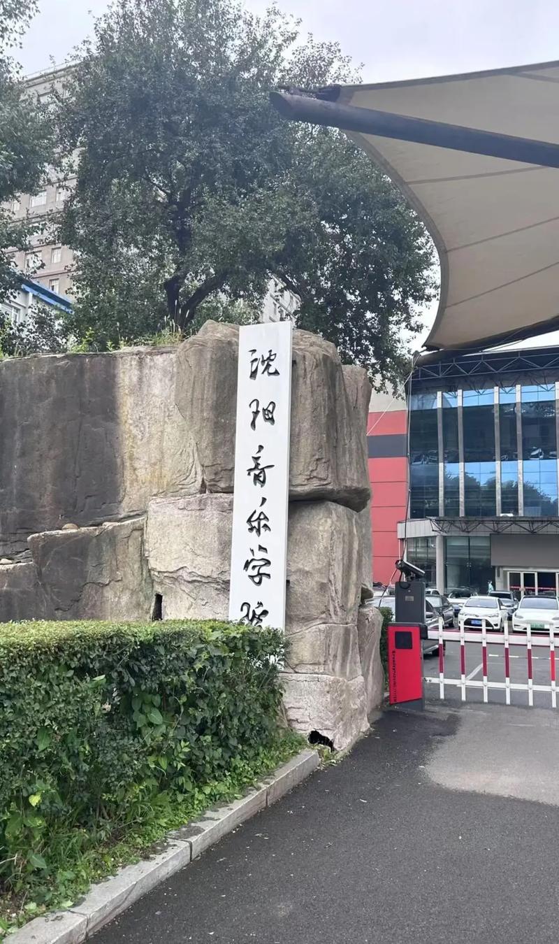 沈阳音乐学院2025音考什么内容？-第2张图片-泰美艺术培训